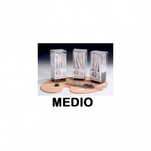 http://acpapeleria.com/5127-large_default/carboncillo-leam-102-c-10.jpg