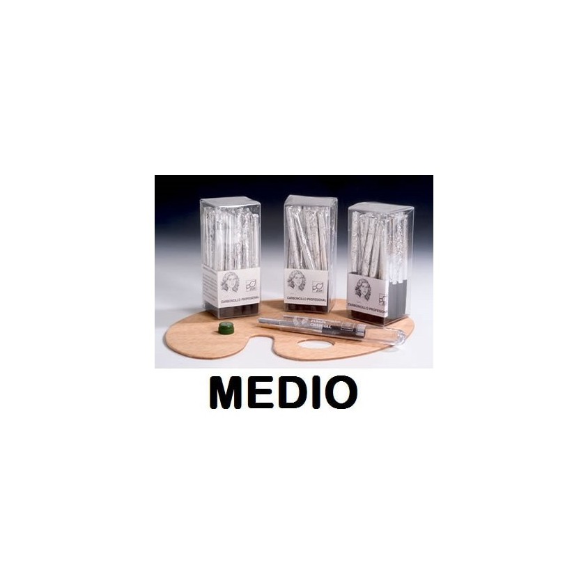 http://acpapeleria.com/5127-large_default/carboncillo-leam-102-c-10.jpg