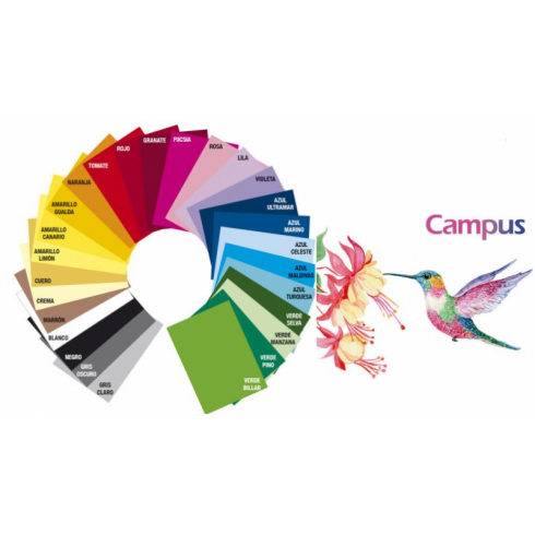 http://acpapeleria.com/33085-large_default/cartulina-makro-50x65-colores.jpg