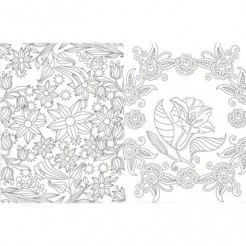 http://acpapeleria.com/30981-large_default/dibujos-de-flores-para-colorear-2.jpg