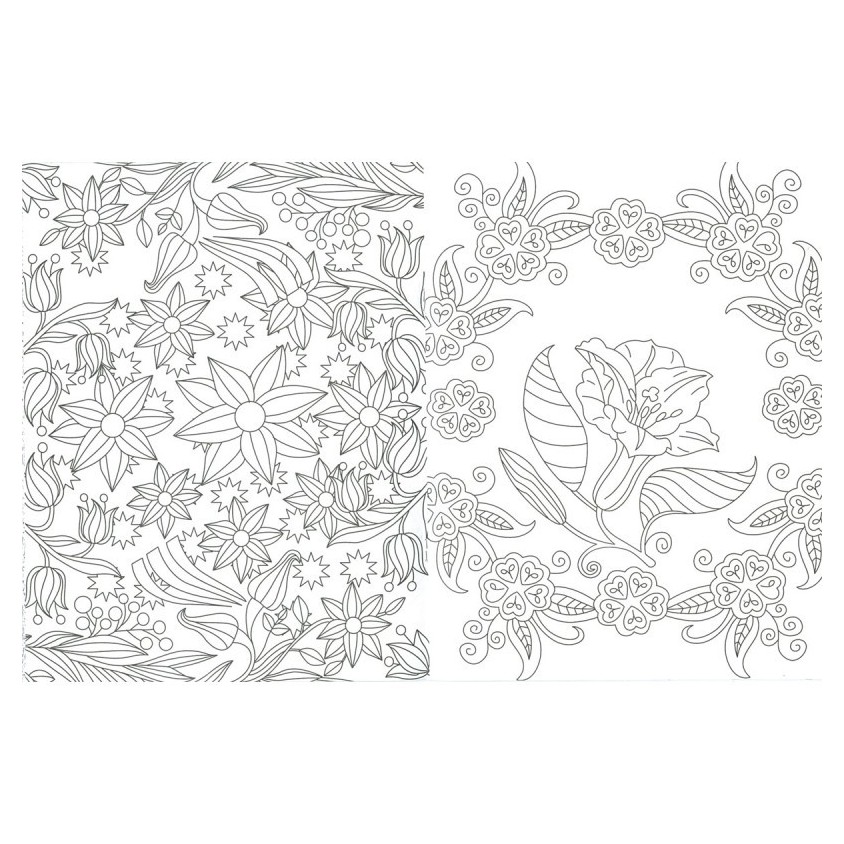 http://acpapeleria.com/30981-large_default/dibujos-de-flores-para-colorear-2.jpg