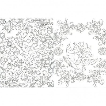 http://acpapeleria.com/30981-large_default/dibujos-de-flores-para-colorear-2.jpg