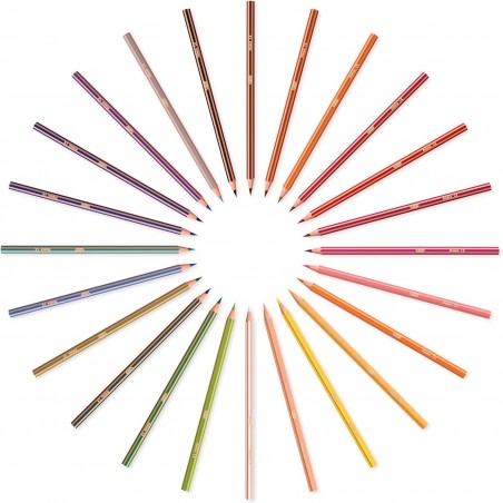 LAPIZ BIC STRIPES18 COLORES